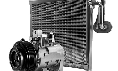 serper image 2032 1778471332