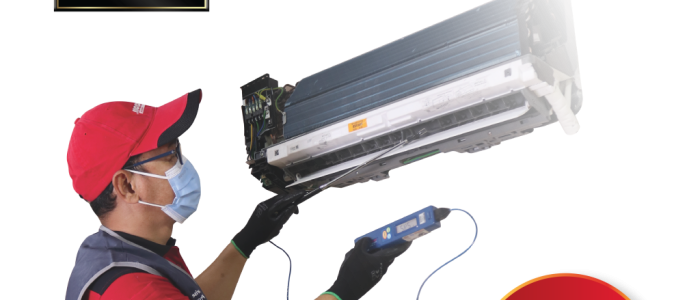 serper image 810 1778470010